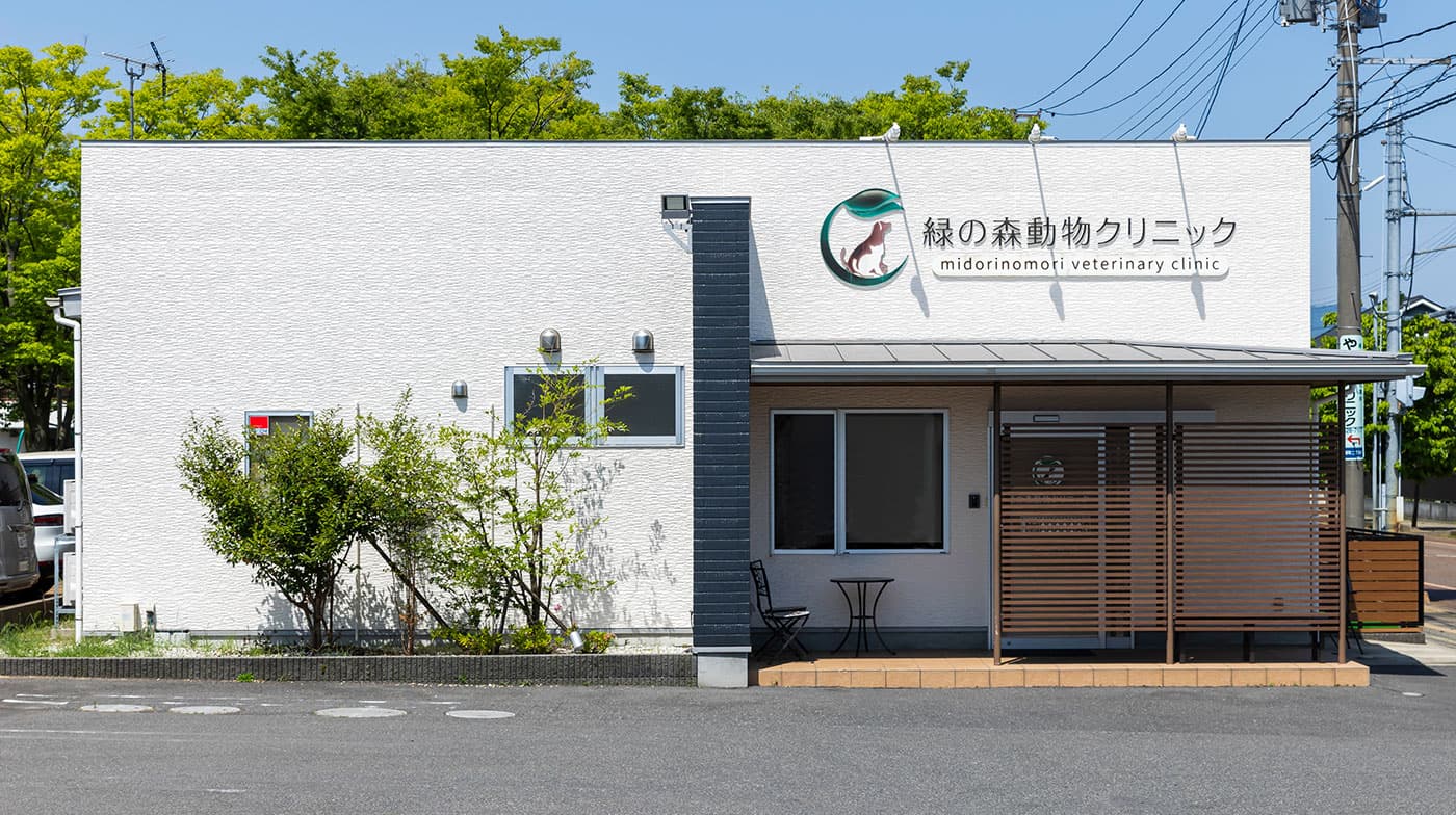 初めてご来院される方へ