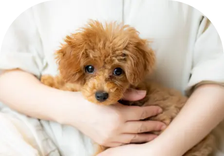 初めての方へ